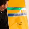 Quadro Ayrton Senna 80x60cm Tripla Camada Edição Limitada 3 Títulos Fórmula 1 Decoração Premium